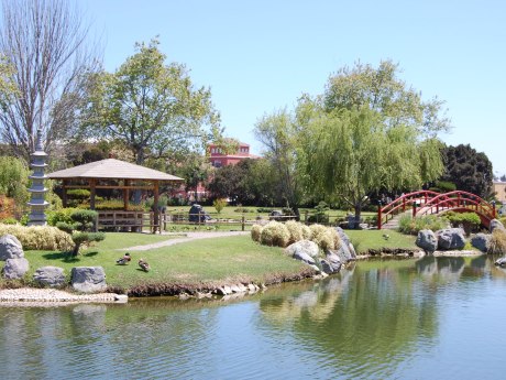 The Japanese Garden we visited during our stay in La Serena, Chile. I know, kind of weird to be visiting a Japanese Garden in South America, but it was very serene.